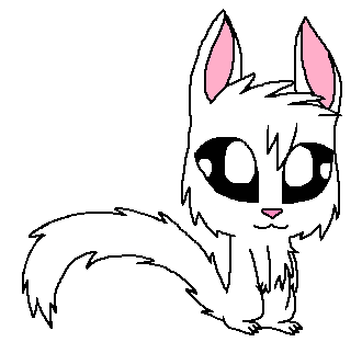 Cotton the white squirrel